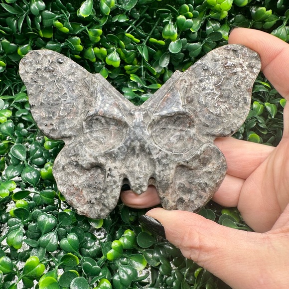 UV Reactive Yooperlite Butterfly Skull Carving - Picture 8 of 8